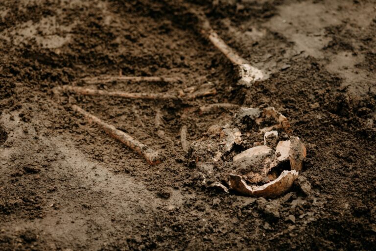 Photo archeologiczne
