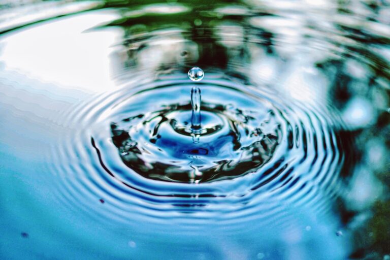 Photo water management